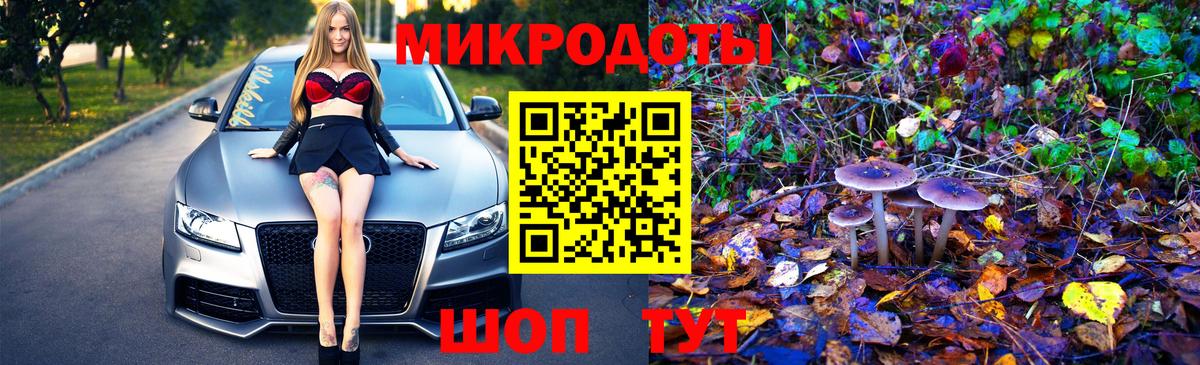 Псилоцибиновые грибы мухоморы Саров