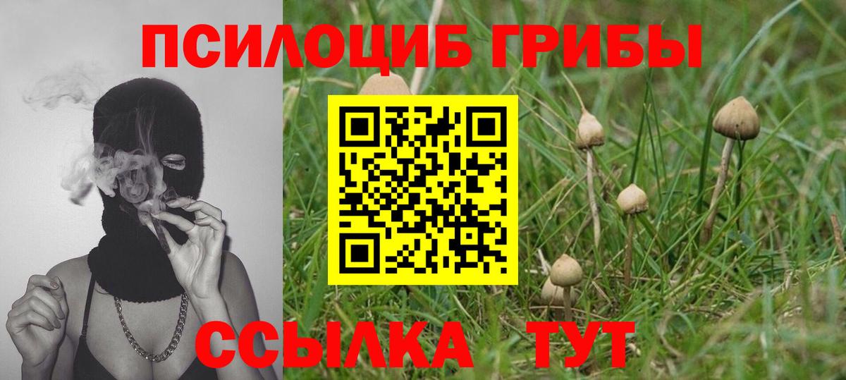 Псилоцибиновые грибы мухоморы  хочу   Саров  Вход с VPN 
